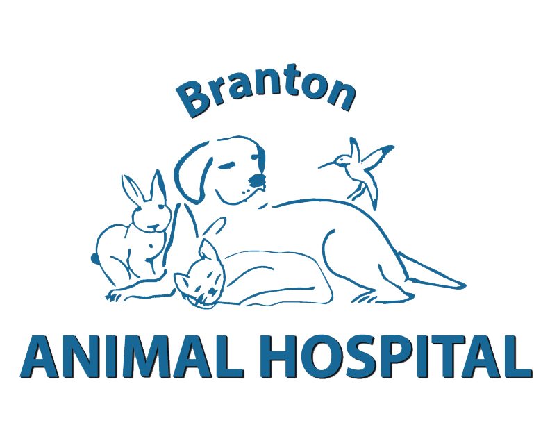 Branton Animal Hospital Logo